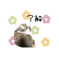 [LINEスタンプ] ♡Risa様