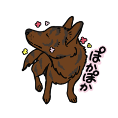 [LINEスタンプ] 表情豊かな甲斐犬