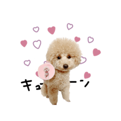 [LINEスタンプ] ♡よっちゃん様