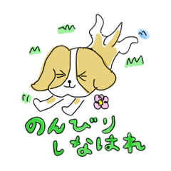 [LINEスタンプ] ゆるいキャバリアの日常