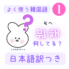 [LINEスタンプ] 韓国語しらたまラビット1（ハングル＆訳）