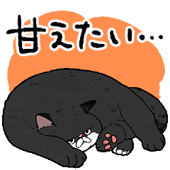 [LINEスタンプ] 甘えたい猫たち大集合