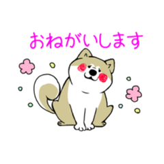 [LINEスタンプ] ポチパパ保護犬達の楽園