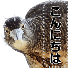 [LINEスタンプ] Wild bird friend - ズグロミゾゴイ