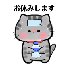 [LINEスタンプ] サバトラ猫のトメちゃん 敬語