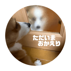 [LINEスタンプ] ぱくこと名言。