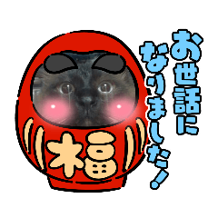 [LINEスタンプ] わたしのねこは気まぐれです