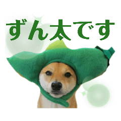 [LINEスタンプ] ずん太のスタンプの巻1