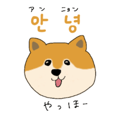 [LINEスタンプ] 韓国語を話す柴犬