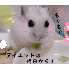 [LINEスタンプ] hamsterねぎ