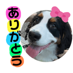 [LINEスタンプ] リズすたんぷ〜