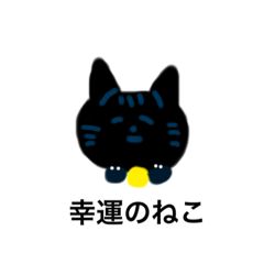 [LINEスタンプ] 幸運の黒ねこ