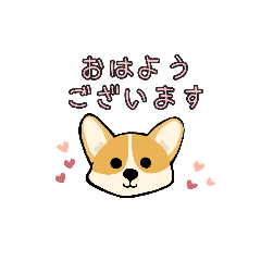 [LINEスタンプ] コーギー犬  よくつかう言葉