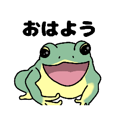 [LINEスタンプ] カエルさんたちのスタンプ