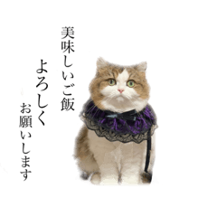 [LINEスタンプ] あざといめーたん