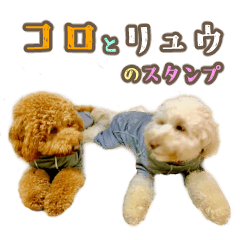 [LINEスタンプ] コロとリュウのスタンプ