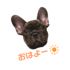 [LINEスタンプ] アトムV1