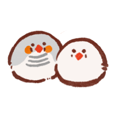 [LINEスタンプ] キンカチョウのコパンとシロモ