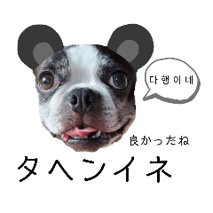 [LINEスタンプ] 気付けば覚えちゃってる楽チン韓国語②