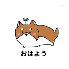 [LINEスタンプ] ゆるい柴犬の日常会話スタンプ