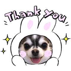 [LINEスタンプ] 犬ずスタンプ3