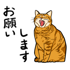 [LINEスタンプ] うちの猫のつぶやき