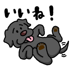 [LINEスタンプ] 困り顔の黒ラブ