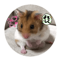 [LINEスタンプ] ミルクと申す