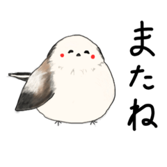 [LINEスタンプ] 色んな鳥のスタンプ