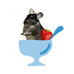 [LINEスタンプ] チンチラまるちゃんⅡ