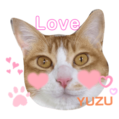[LINEスタンプ] うちの3姉妹ぷらす