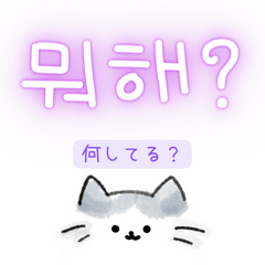 [LINEスタンプ] 使いやすい韓国語しらたまねこ1(日本語訳)