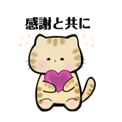 [LINEスタンプ] 茶トラ猫のトトちゃん 敬語