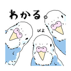 [LINEスタンプ] アクアちゃんスタンプ②