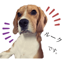 [LINEスタンプ] i am ルーク。