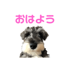 [LINEスタンプ] BEALのほのぼの日常スタンプ