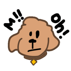 [LINEスタンプ] 小次郎 我が家の愛犬