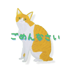 [LINEスタンプ] 猫ネコねこ〜のスタンプ(1)