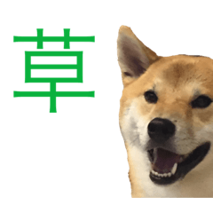 [LINEスタンプ] おさぬ