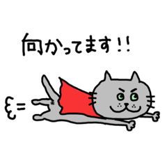 [LINEスタンプ] ウチノネコ【日常会話】