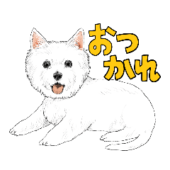 [LINEスタンプ] ウエスティの日常スタンプ