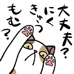 [LINEスタンプ] にゅるっと現る猫スタンプ