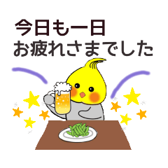 [LINEスタンプ] オカメインコの日常ことば