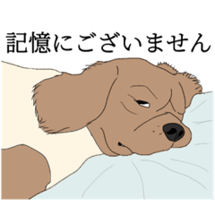 [LINEスタンプ] 一杯やろうやー