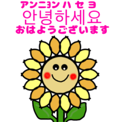 [LINEスタンプ] 向日葵のご挨拶 韓国語版