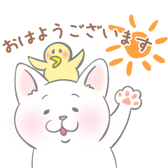 [LINEスタンプ] うちの子そっくり！？【挨拶編・白猫】