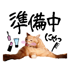 [LINEスタンプ] hknの日常 (文字あり)