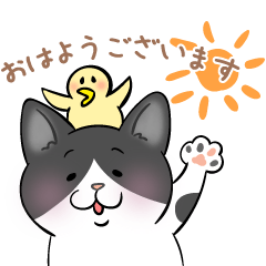 [LINEスタンプ] うちの子そっくり！？【挨拶編・ハチワレ】