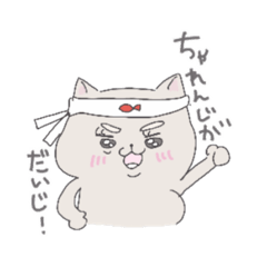 [LINEスタンプ] 前向きなねこと会話