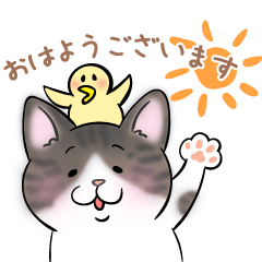 [LINEスタンプ] うちの子そっくり！？【挨拶編キジトラ白】